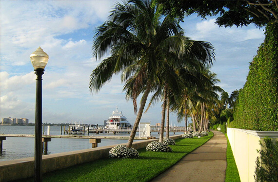 Palm Beach Limo Luxury Service Transportation Near My Area
